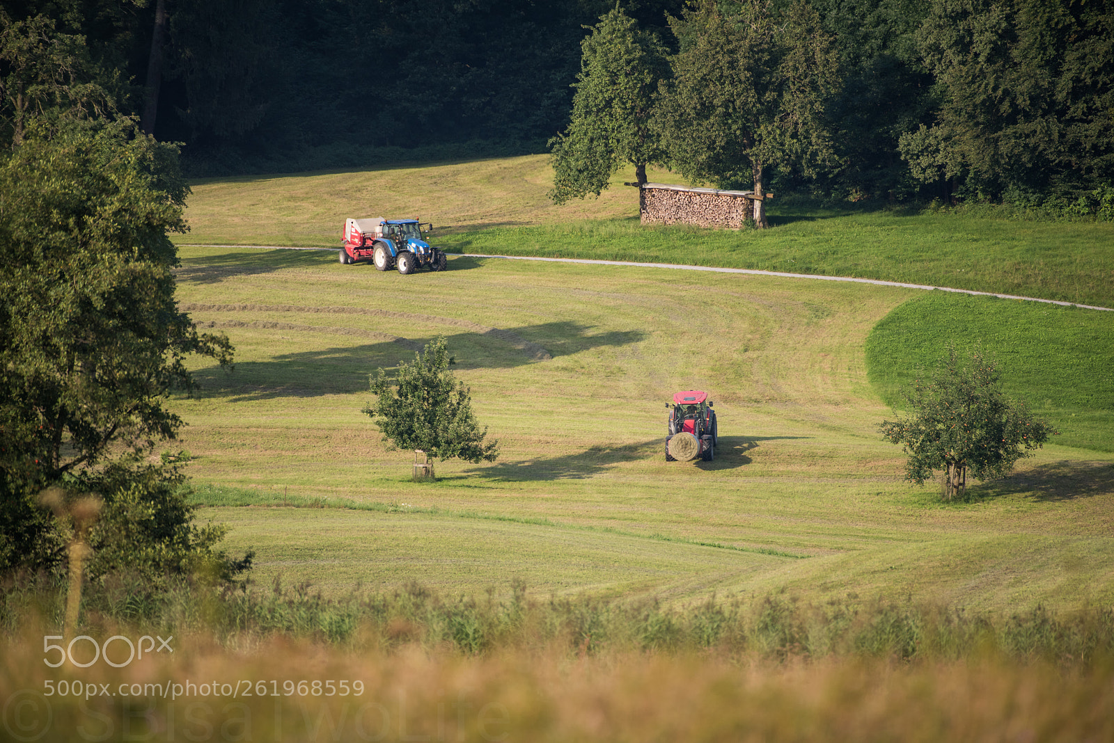Nikon D810 sample photo. Feldarbeit photography