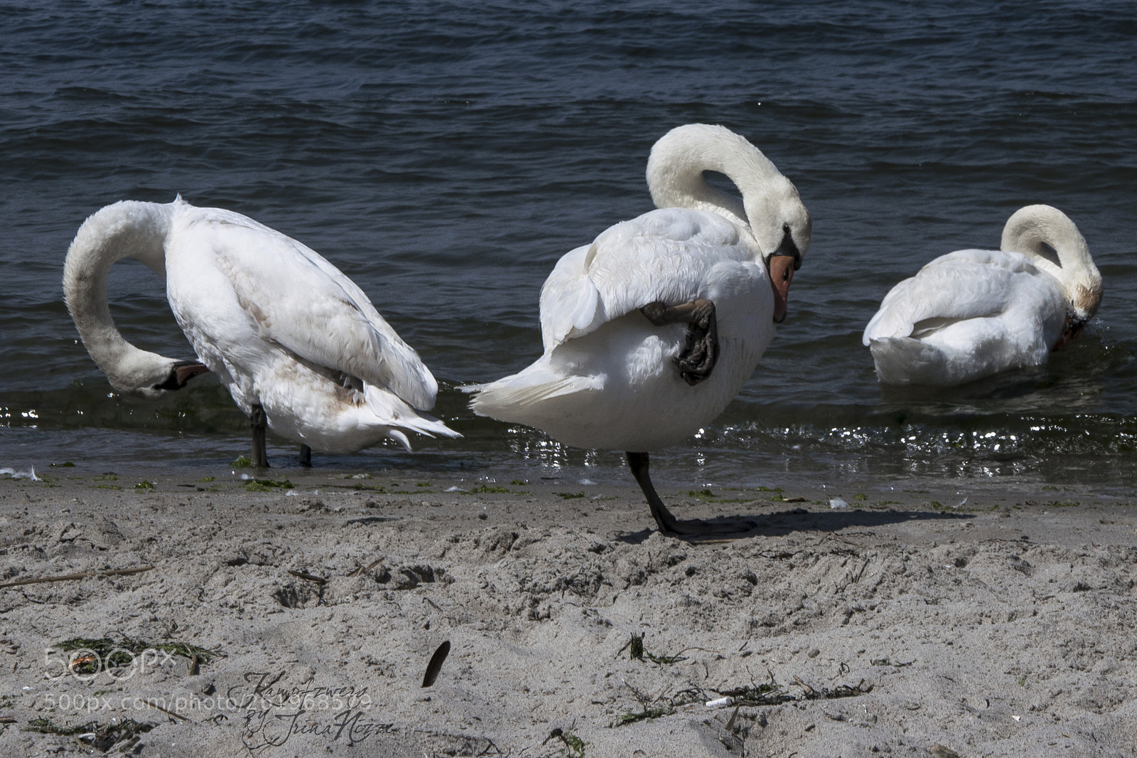 Nikon D3300 sample photo. Untitled photography