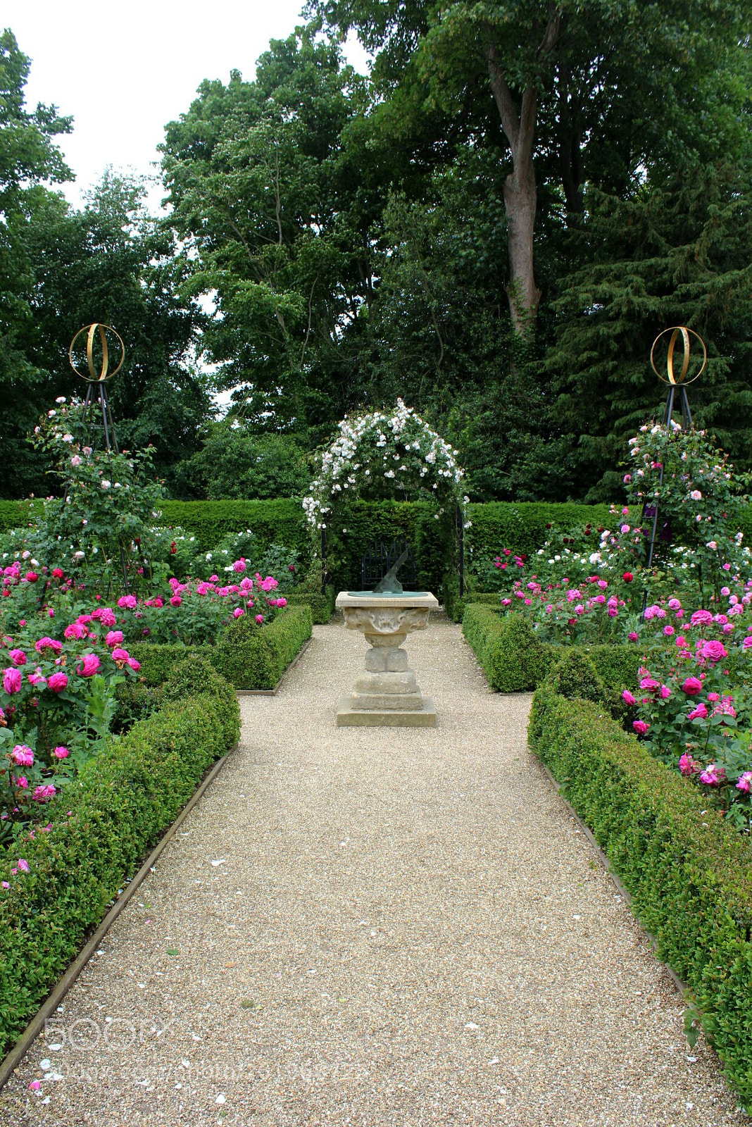 Canon EOS 1300D (EOS Rebel T6 / EOS Kiss X80) sample photo. Rose garden, arundel castel photography