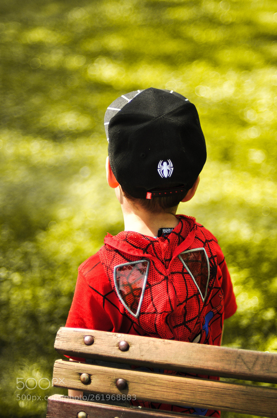 Nikon D90 sample photo. Spider photography