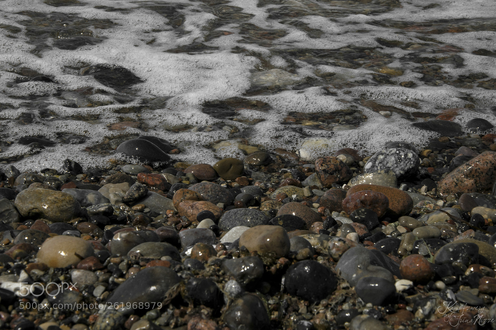Nikon D3300 sample photo. Untitled photography