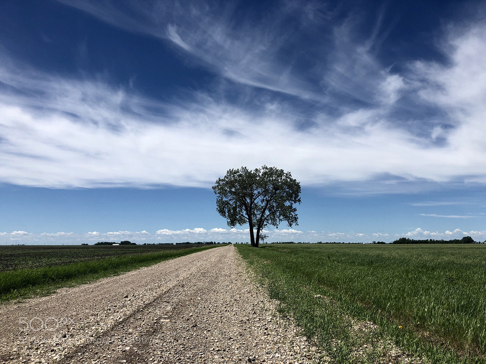 Apple iPhone 8 sample photo. Countryside photography