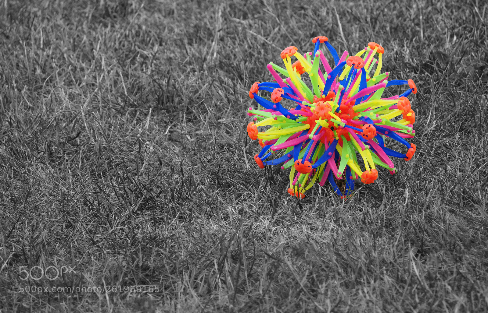 Olympus OM-D E-M10 sample photo. The ball photography