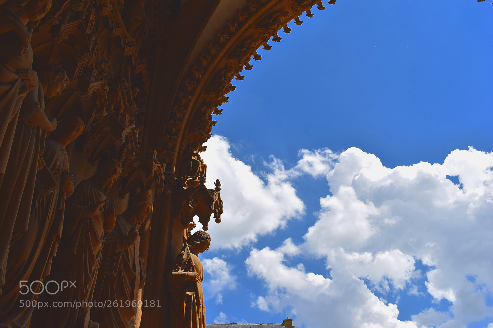 Nikon D5500 sample photo. Under the heaven, cherishing photography