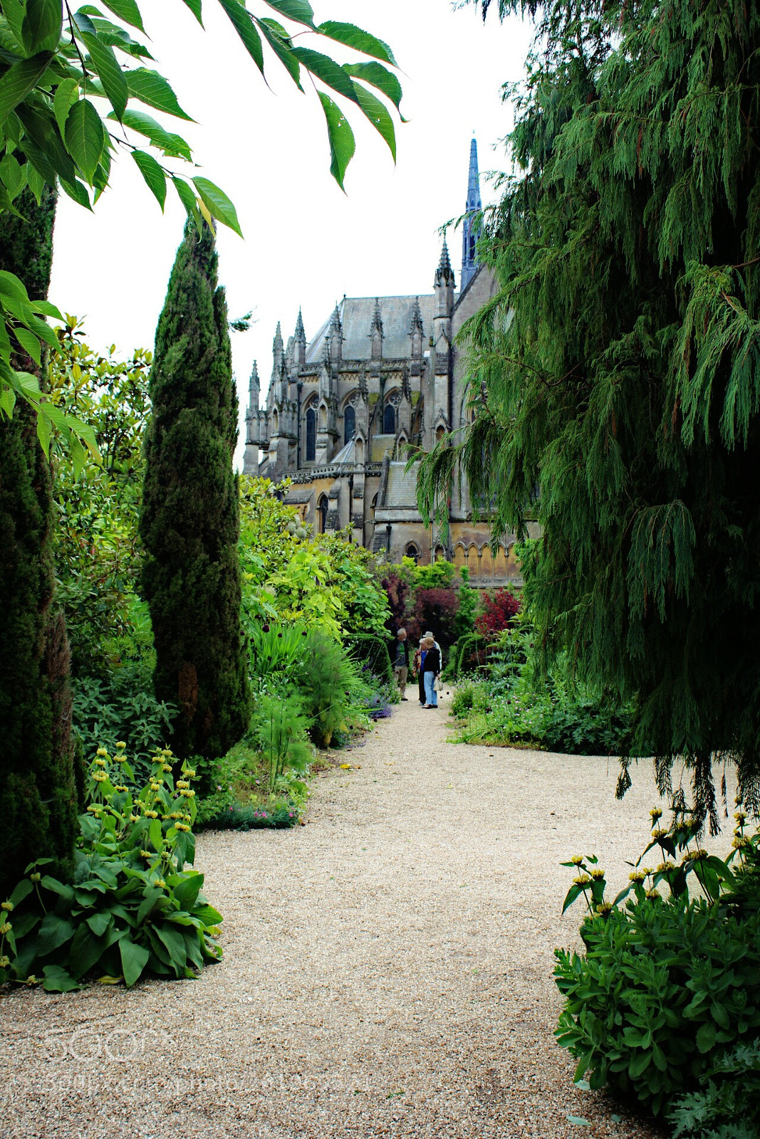 Canon EOS 1300D (EOS Rebel T6 / EOS Kiss X80) sample photo. Arundel castel, garden photography