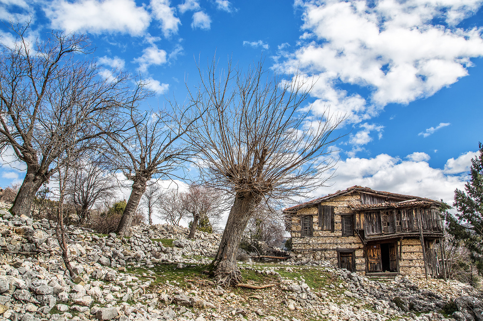 Canon EOS 6D sample photo. Zamana direnmek... photography
