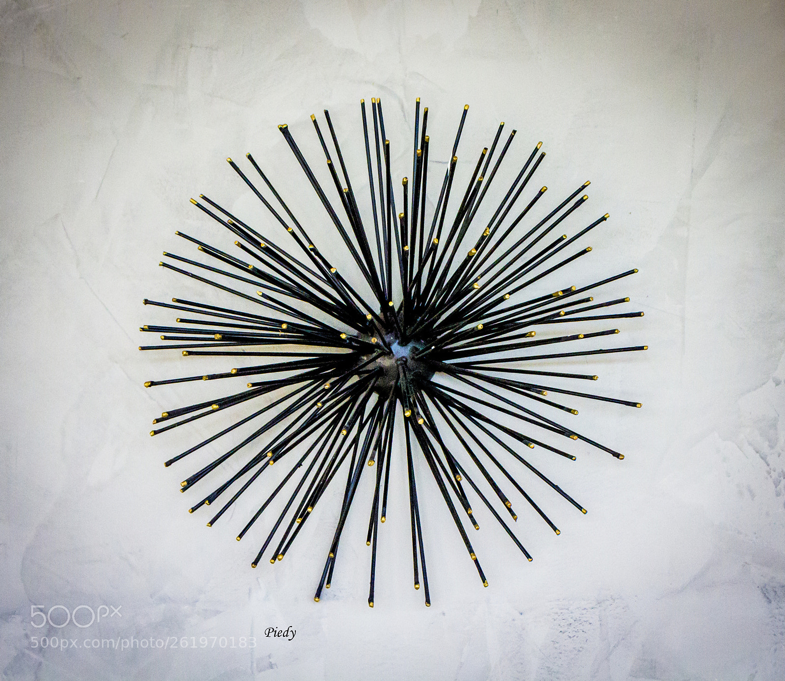 Canon EOS 60D sample photo. Img photography