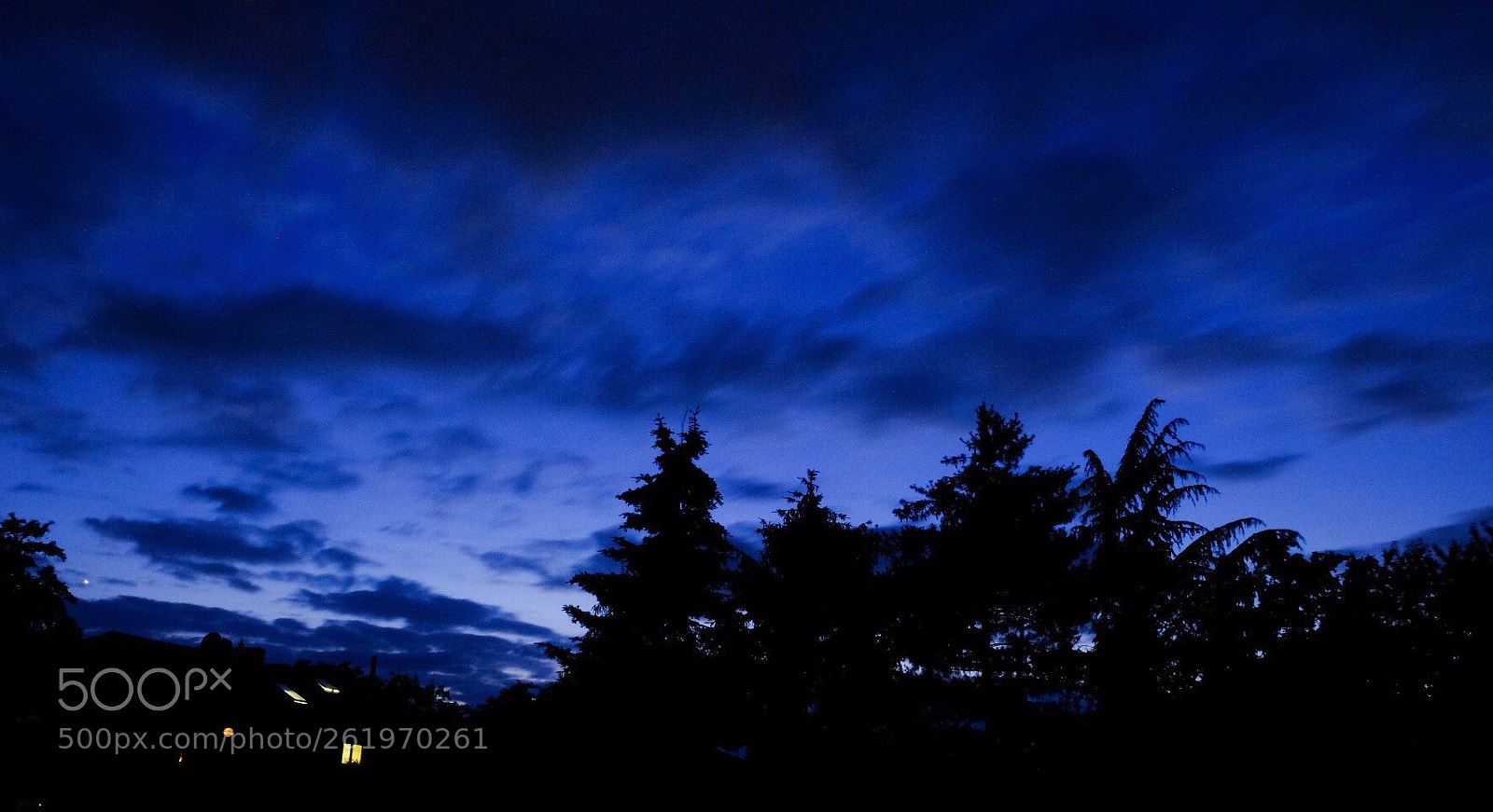 Fujifilm X-T20 sample photo. Untitled photography