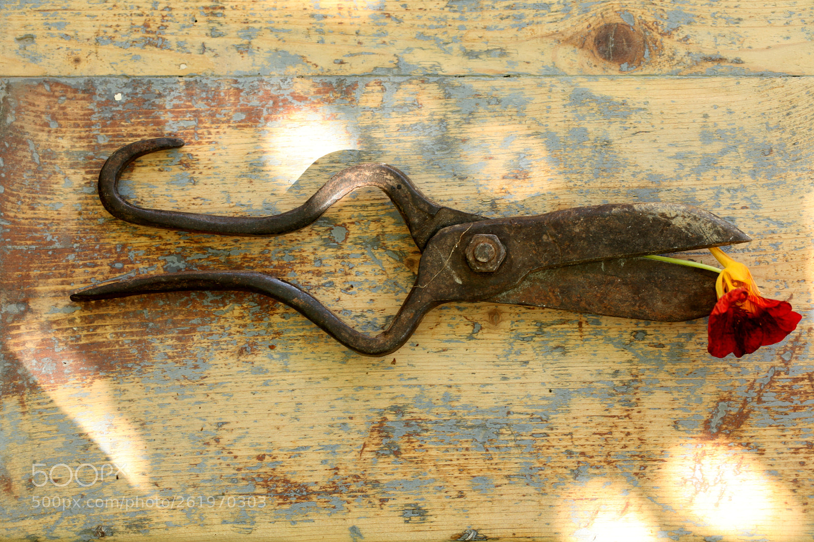 Canon EOS 5D Mark II sample photo. Old tool photography