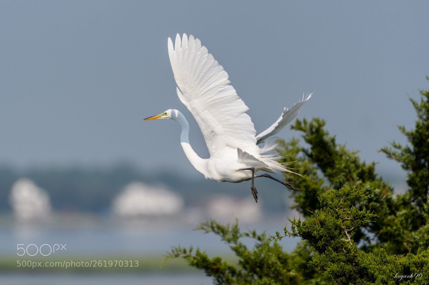 Nikon D500 sample photo. Taking off photography