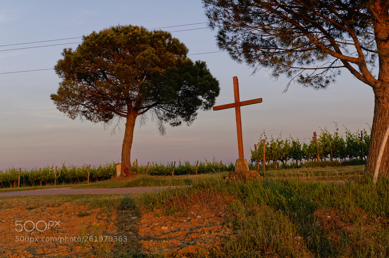 Nikon AF-S DX Nikkor 35mm F1.8G sample photo. Sunset in tuscany photography
