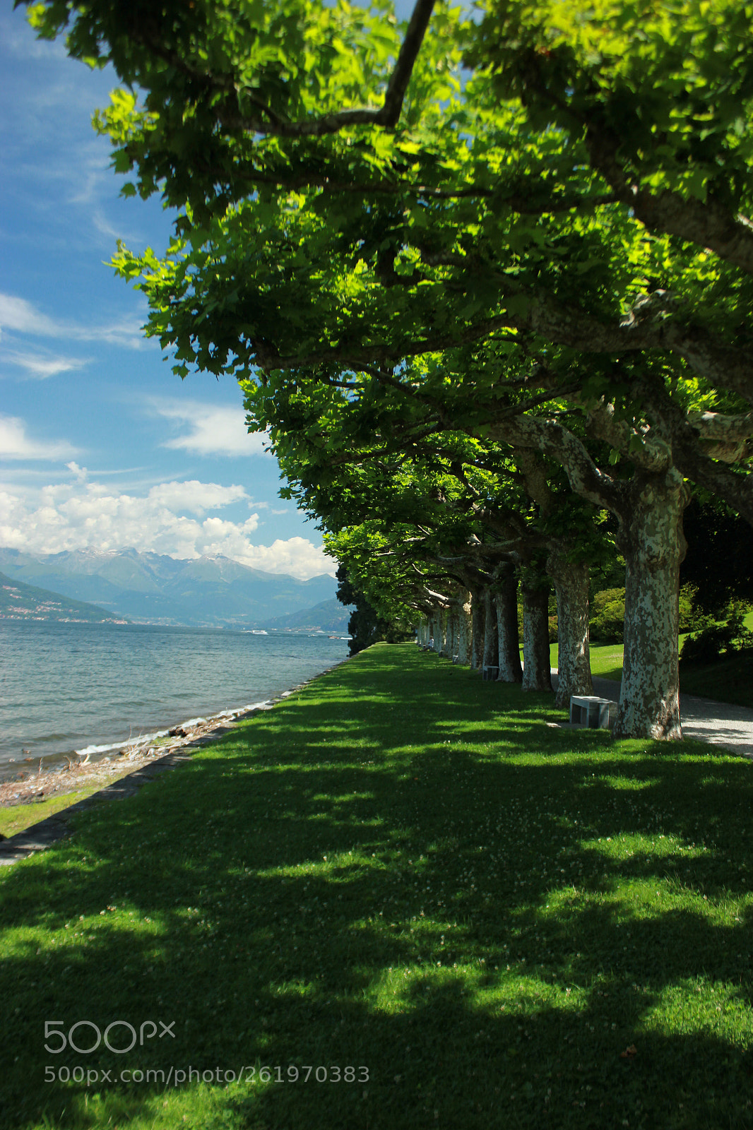 Canon EOS 550D (EOS Rebel T2i / EOS Kiss X4) sample photo. Bellagio photography