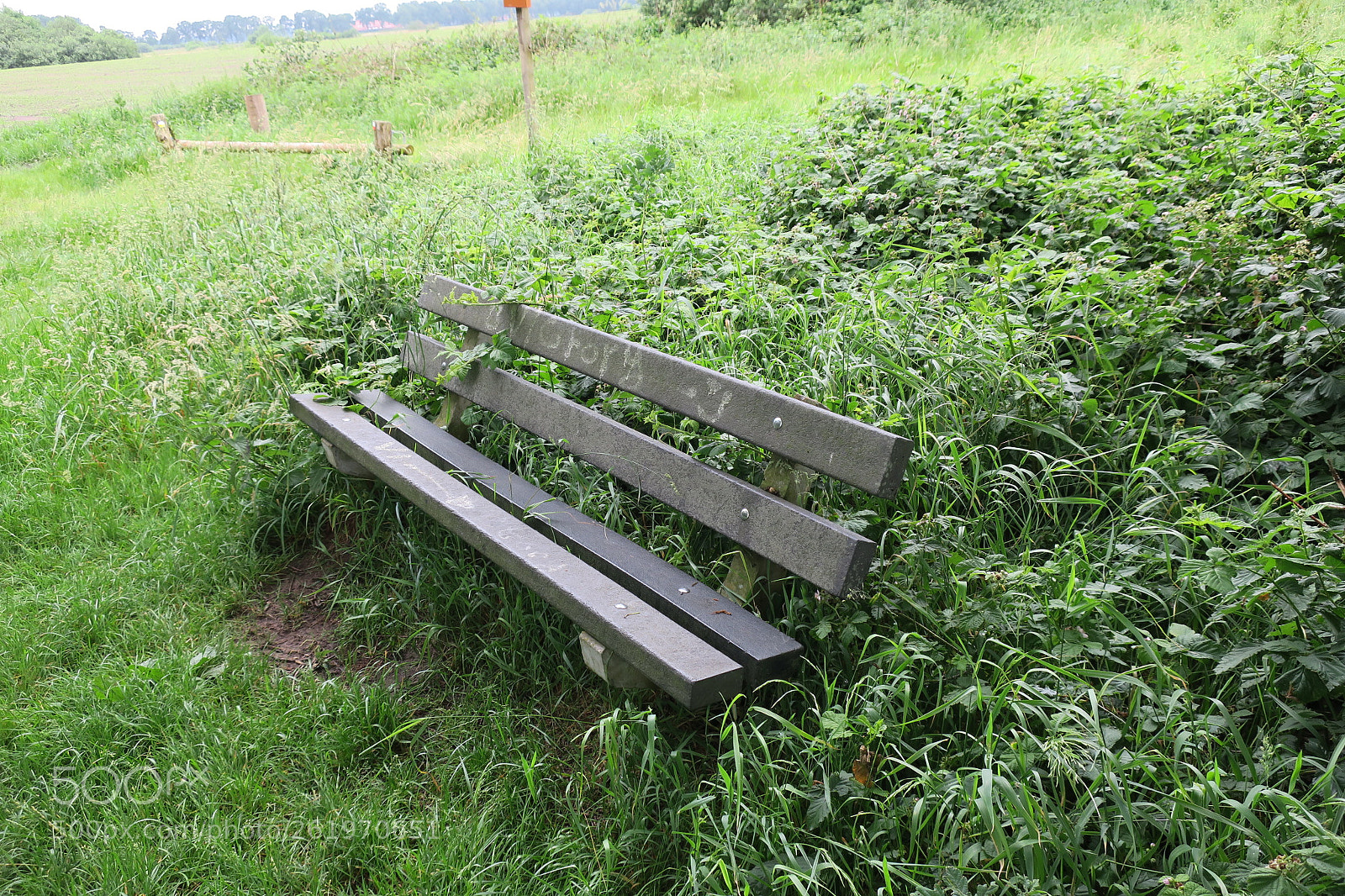 Canon PowerShot G9 X sample photo. Img photography
