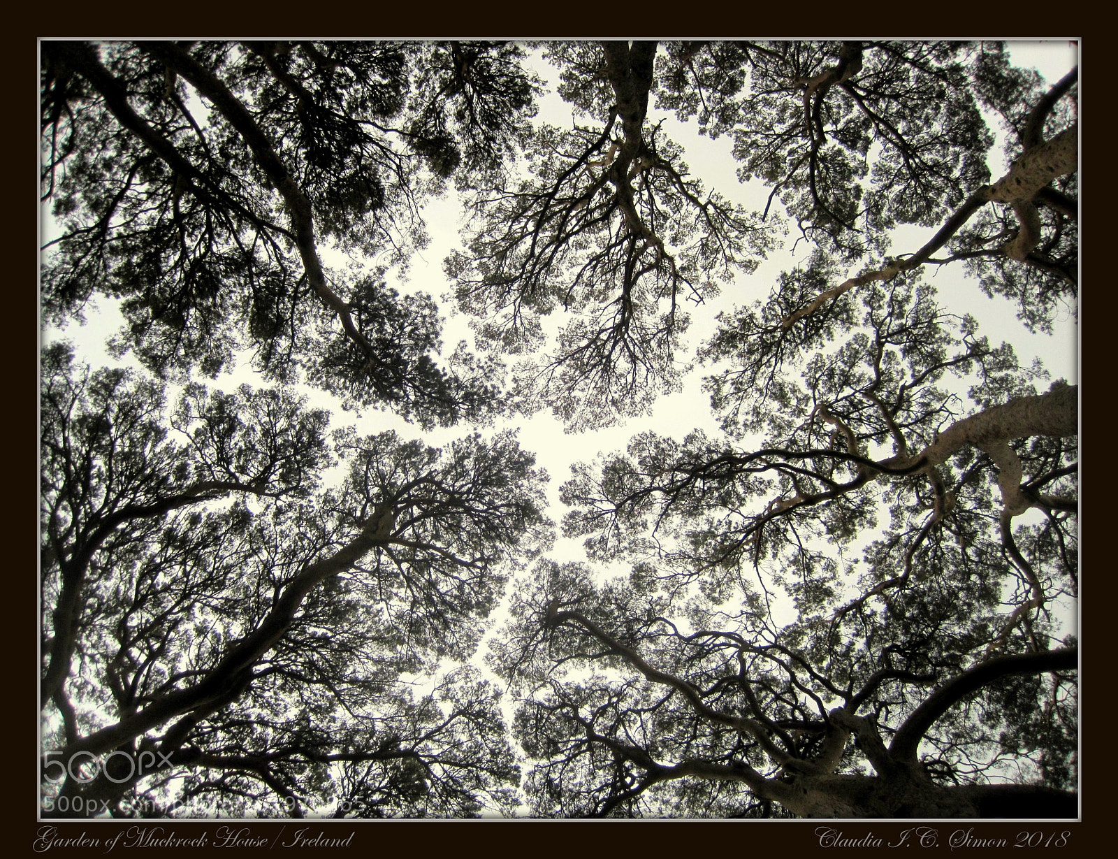 Canon PowerShot SD1200 IS (Digital IXUS 95 IS / IXY Digital 110 IS) sample photo. Landscape of trees photography