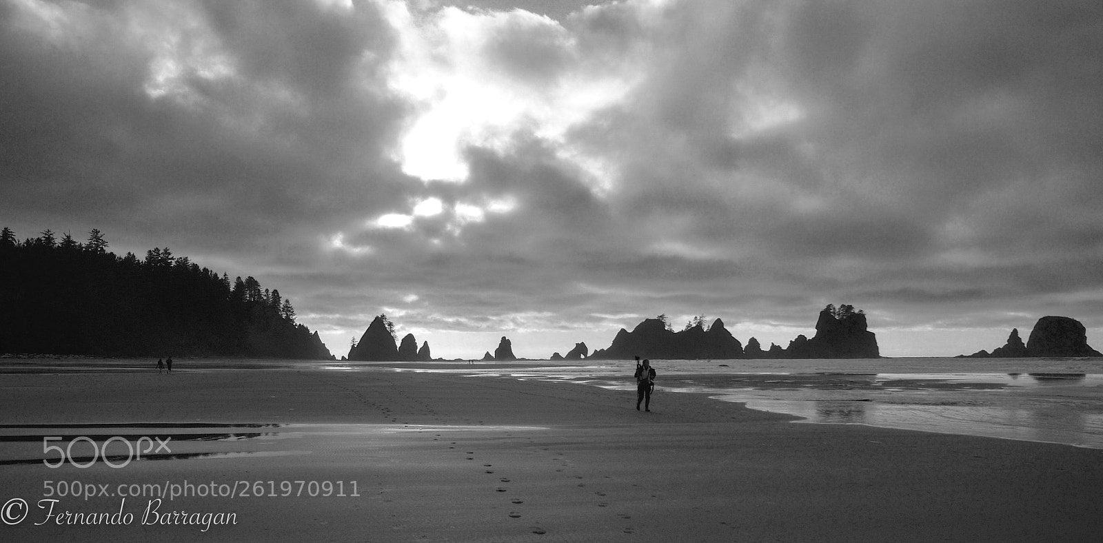Nikon D300S sample photo. Shi shi beach bn photography