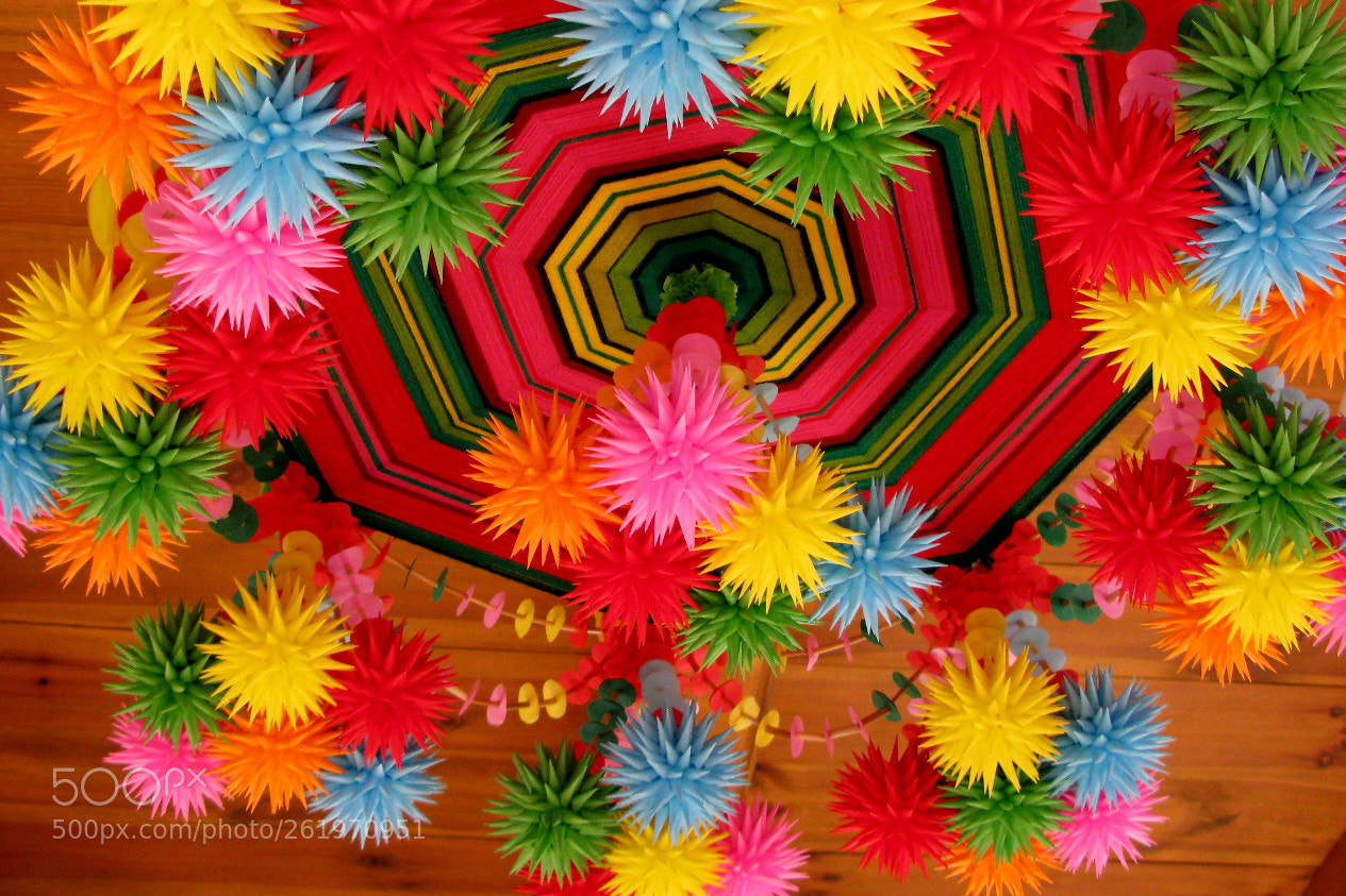 Canon POWERSHOT G9 sample photo. Colourful baubles called "hedgehogs" photography