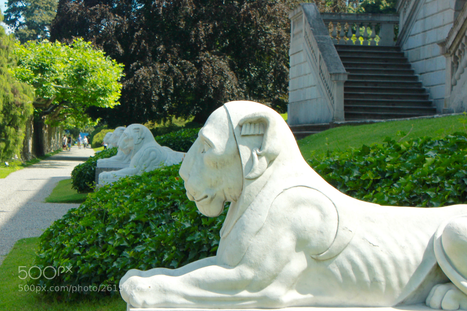 Canon EOS 550D (EOS Rebel T2i / EOS Kiss X4) sample photo. Bellagio photography