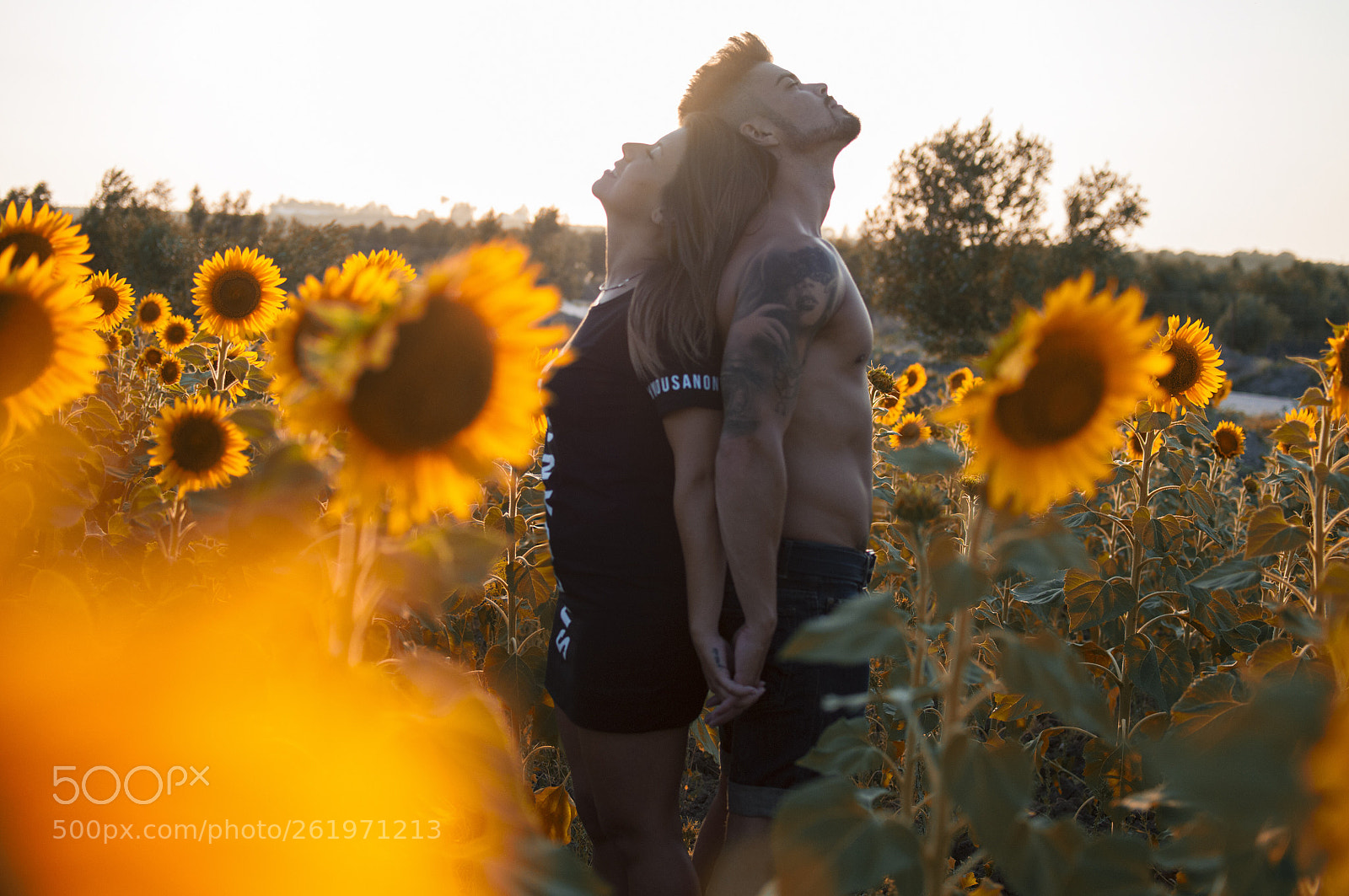 Nikon D90 sample photo. Sunflower  photography