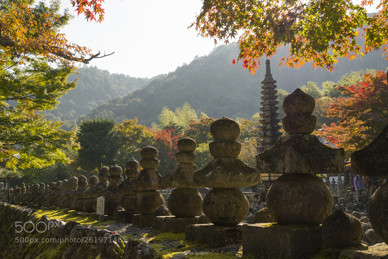 Nikon D7100 sample photo. Pespective photography
