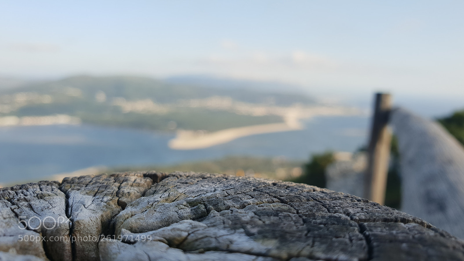 Samsung Galaxy S9+ sample photo. Untitled photography