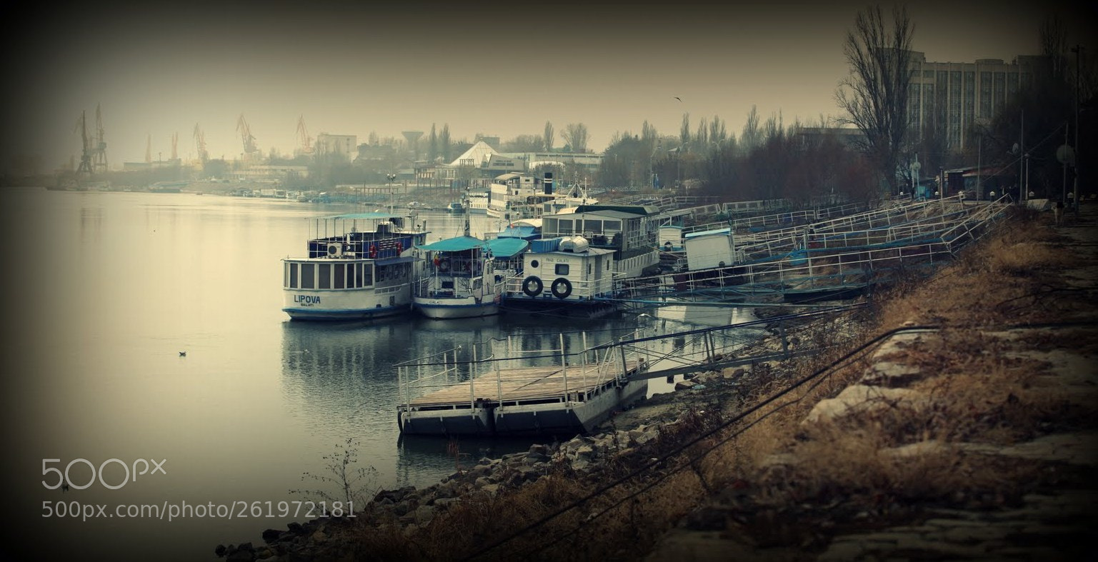 Canon EOS 5D Mark II sample photo. Still on the danube photography