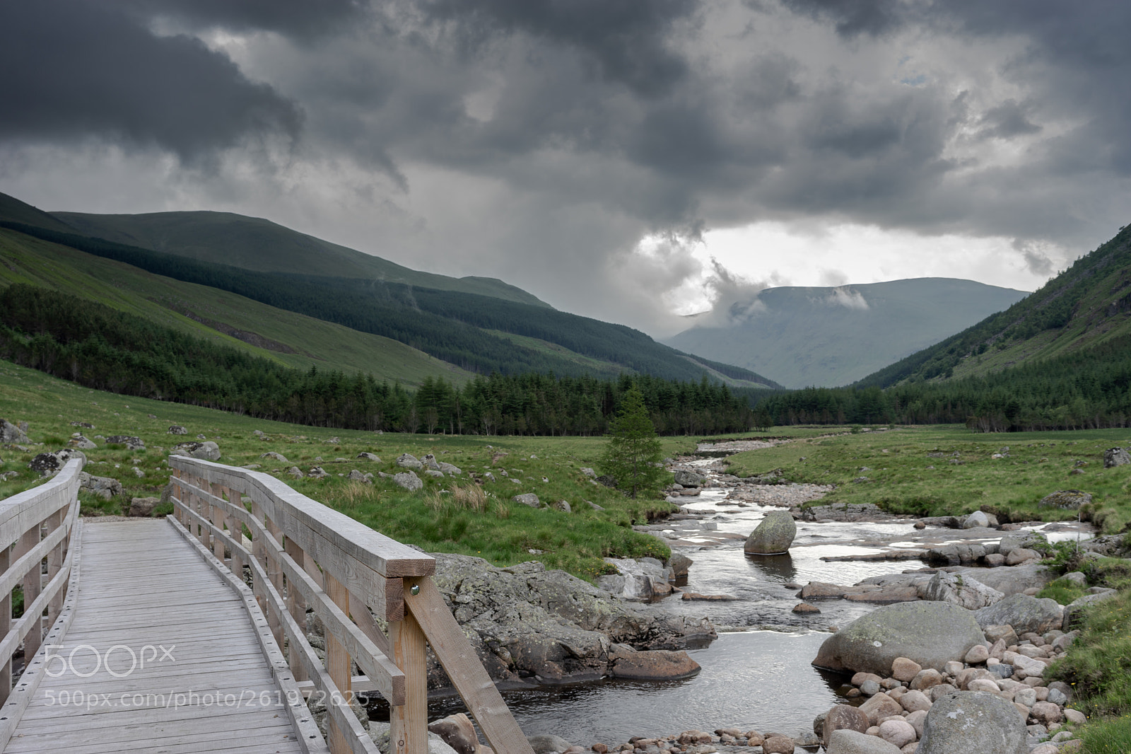 Sony a7 sample photo. After rain photography