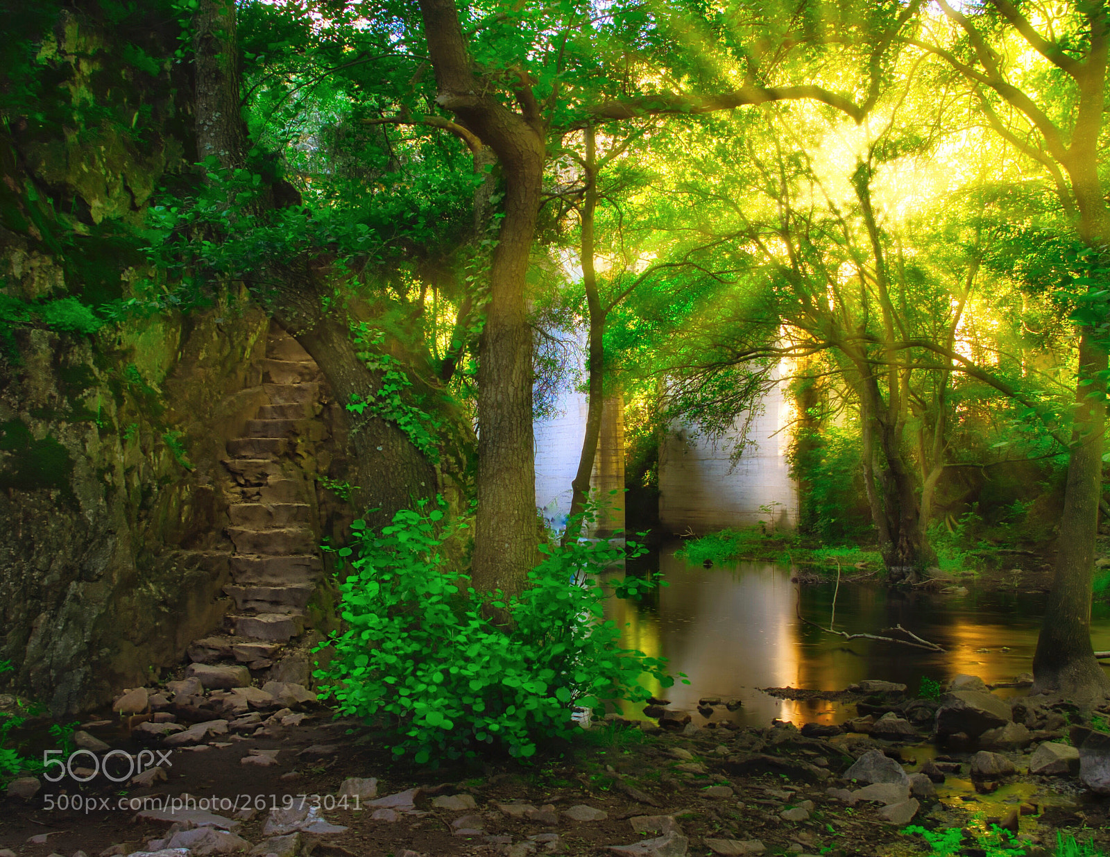 Fujifilm X-T1 sample photo. Fantasia  photography