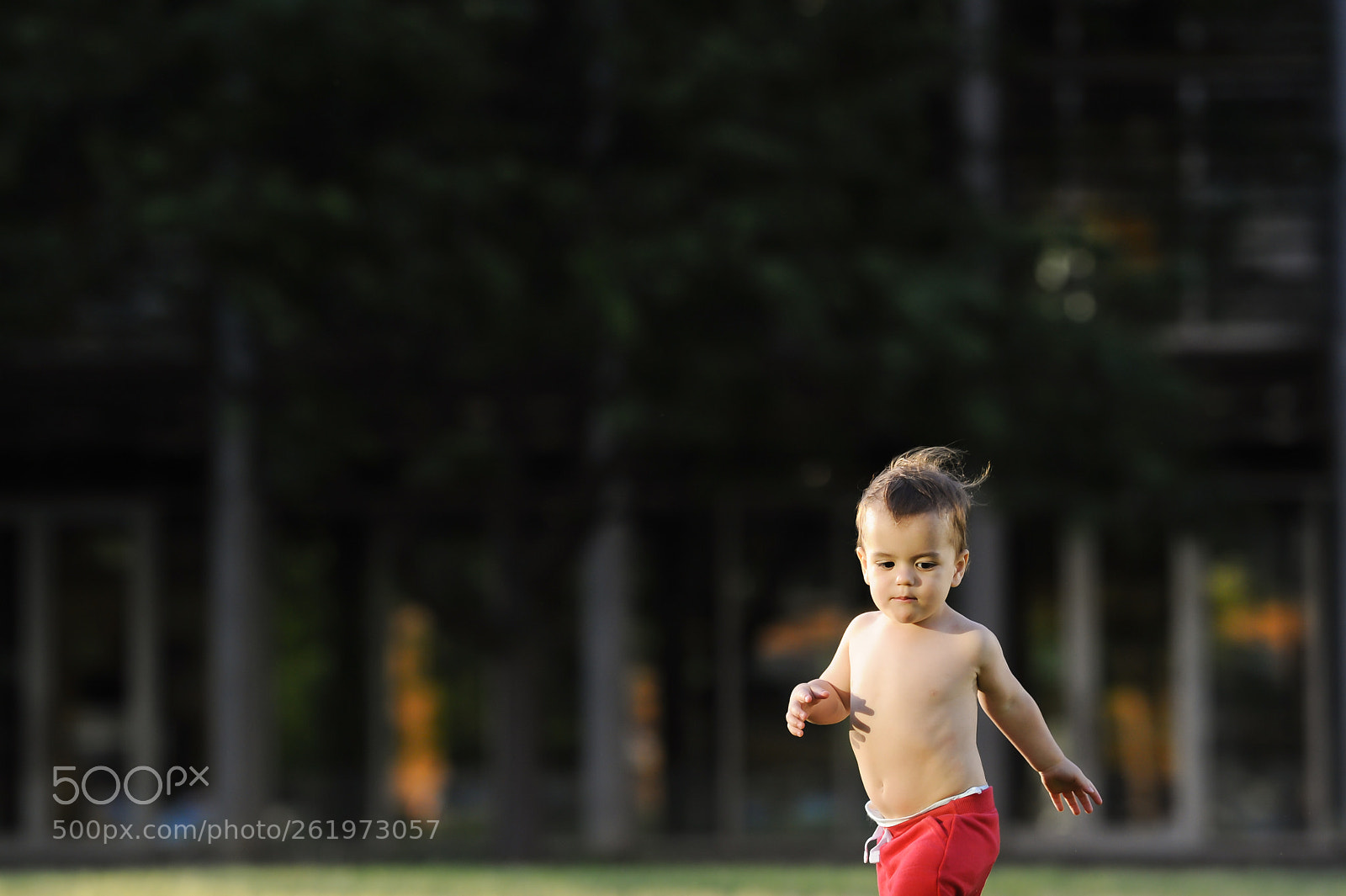 Nikon D700 sample photo. Hart man. photography