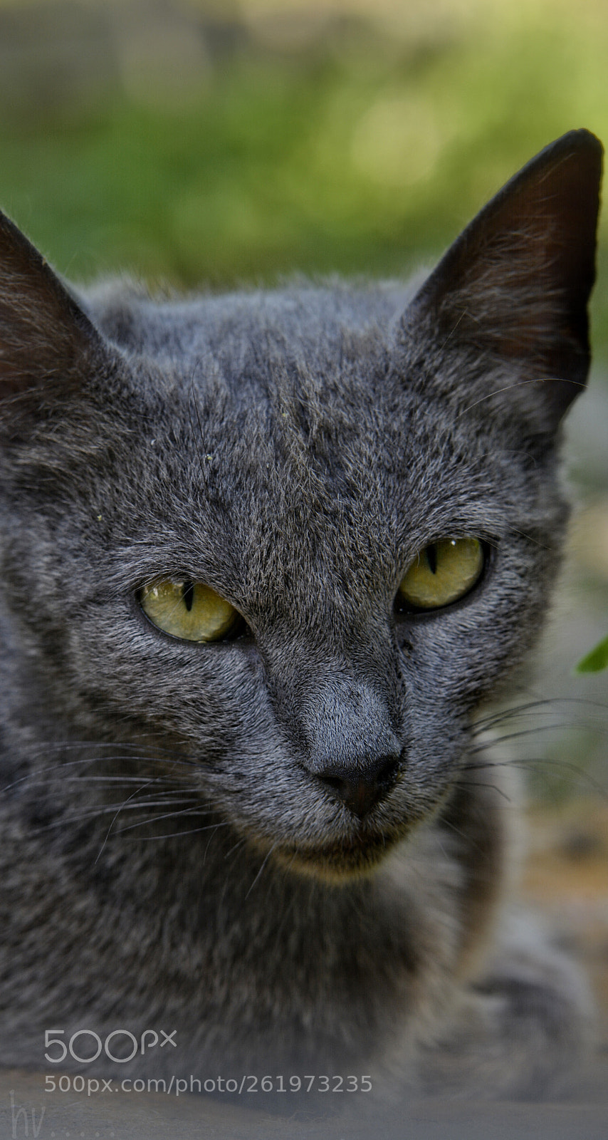 Nikon D7100 sample photo. Just as it seems photography
