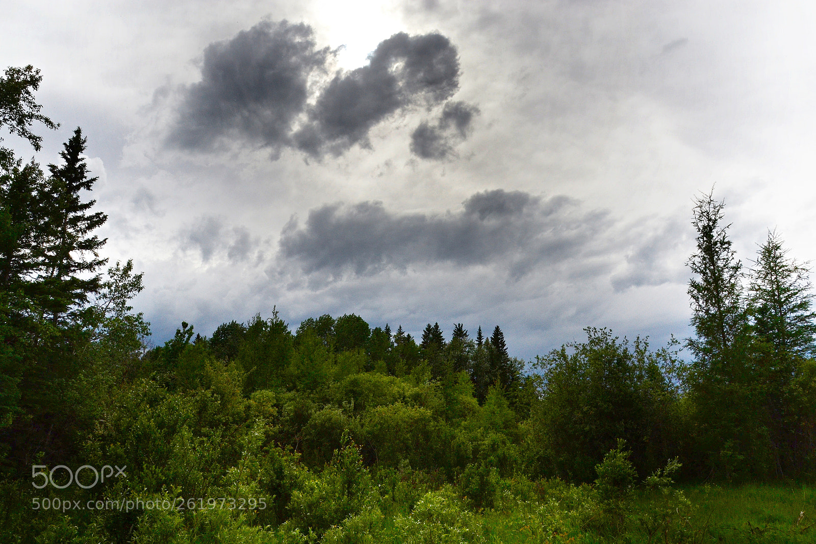 Sigma 18-200mm F3.5-6.3 DC OS HSM sample photo. Clouds over slough, june photography
