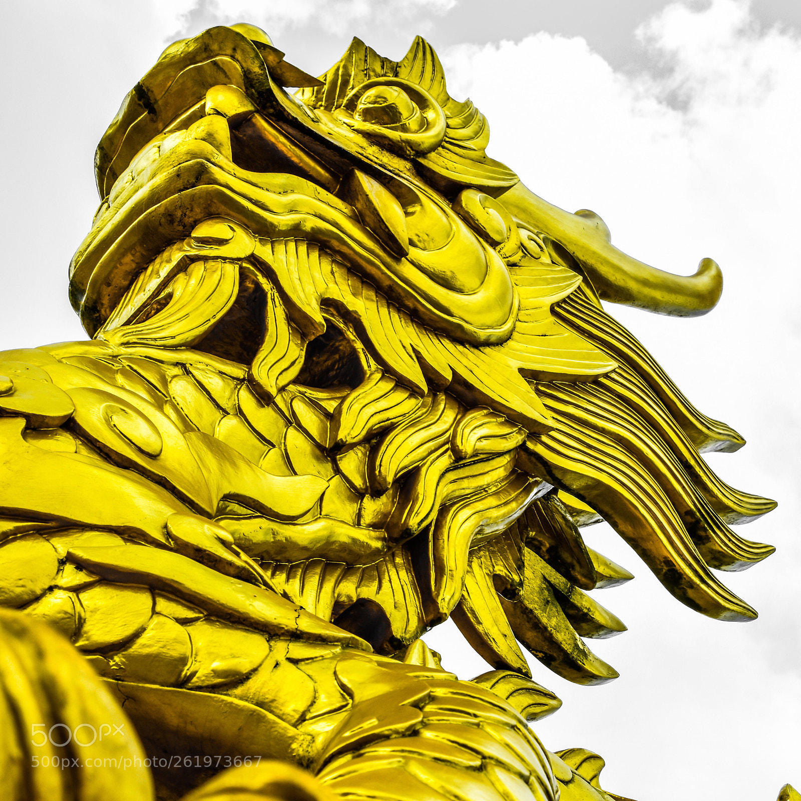 Nikon D7200 sample photo. Bring on the dragon.  photography