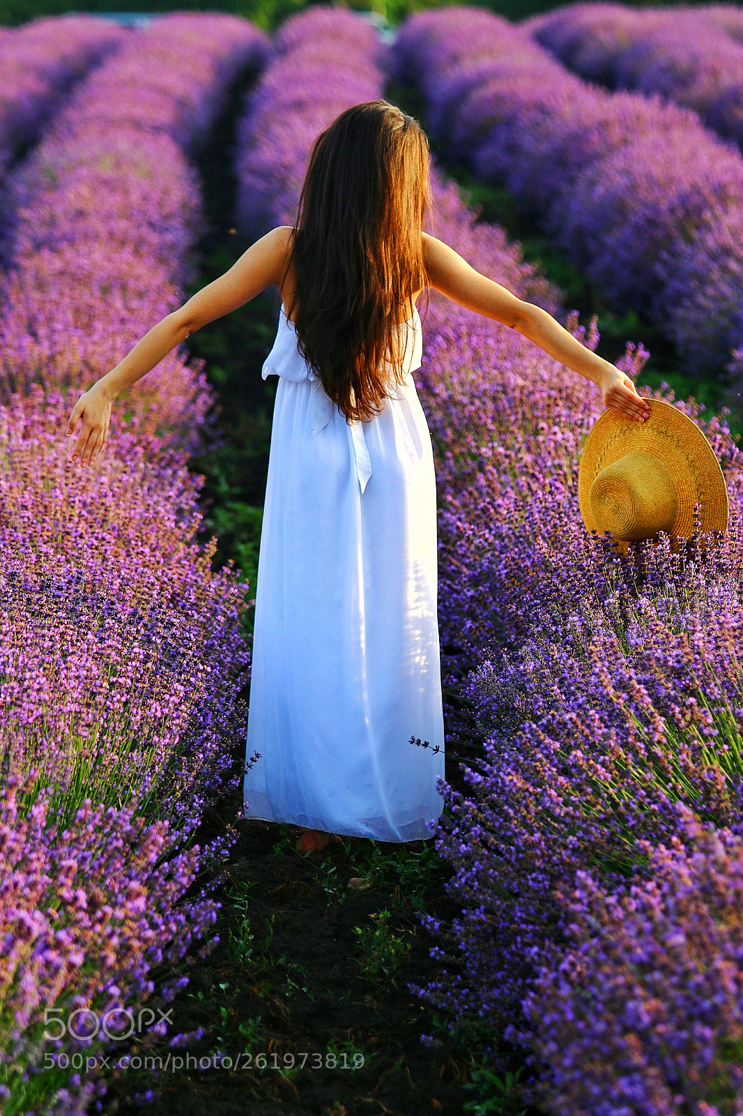 Canon EOS 70D sample photo. Lavender girl photography