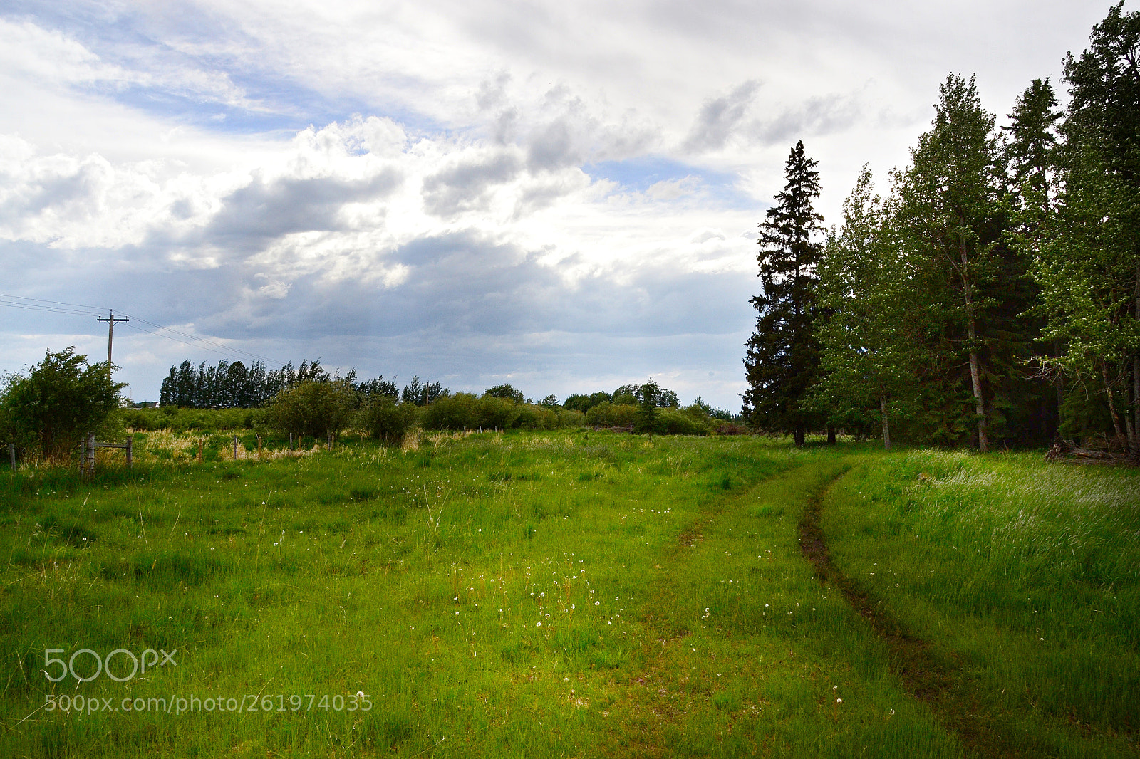 Sigma 18-200mm F3.5-6.3 DC OS HSM sample photo. Blustery day on the photography