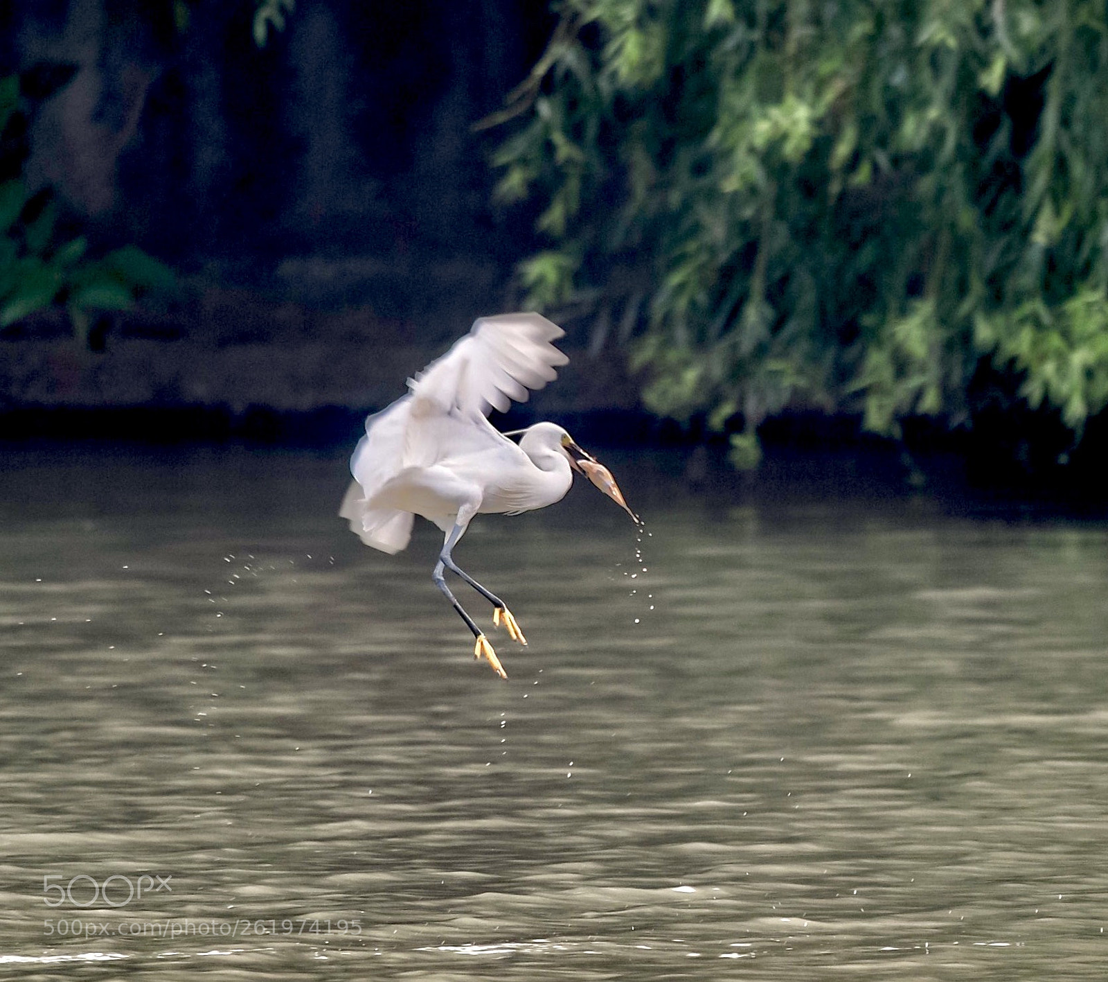 Nikon D3300 sample photo. Untitled photography