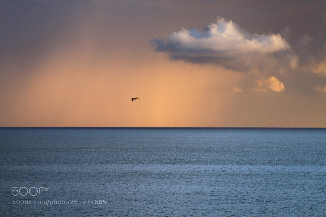 Canon EOS 7D sample photo. Lake baikal photography