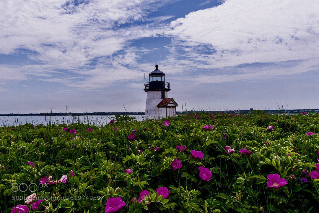 Nikon D850 sample photo. Brant point light and photography