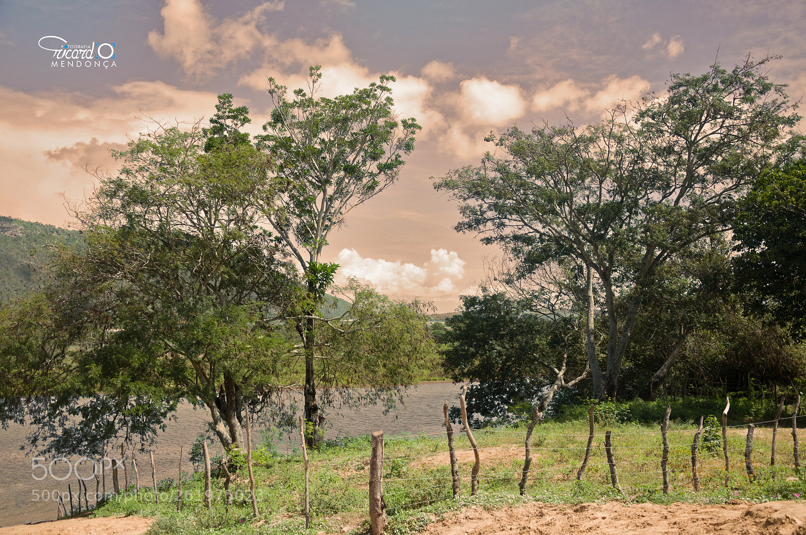Nikon D90 sample photo. Fim de tarde em photography
