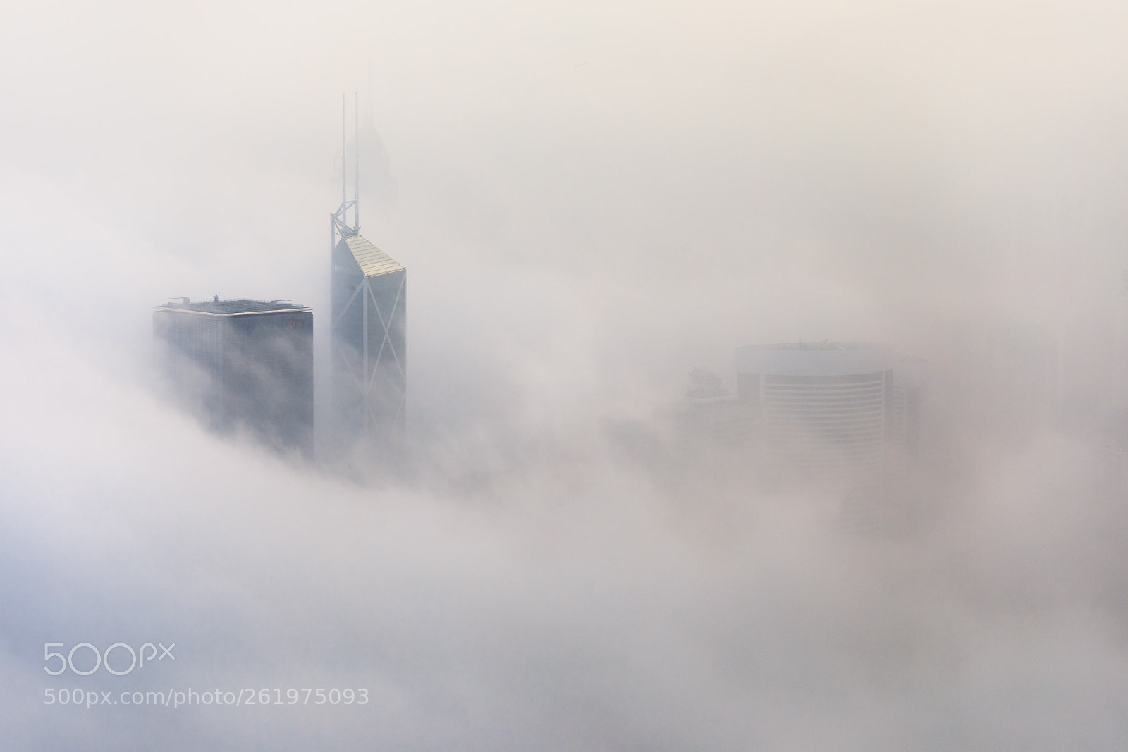 Canon EOS 5D Mark IV sample photo. Dense fog photography