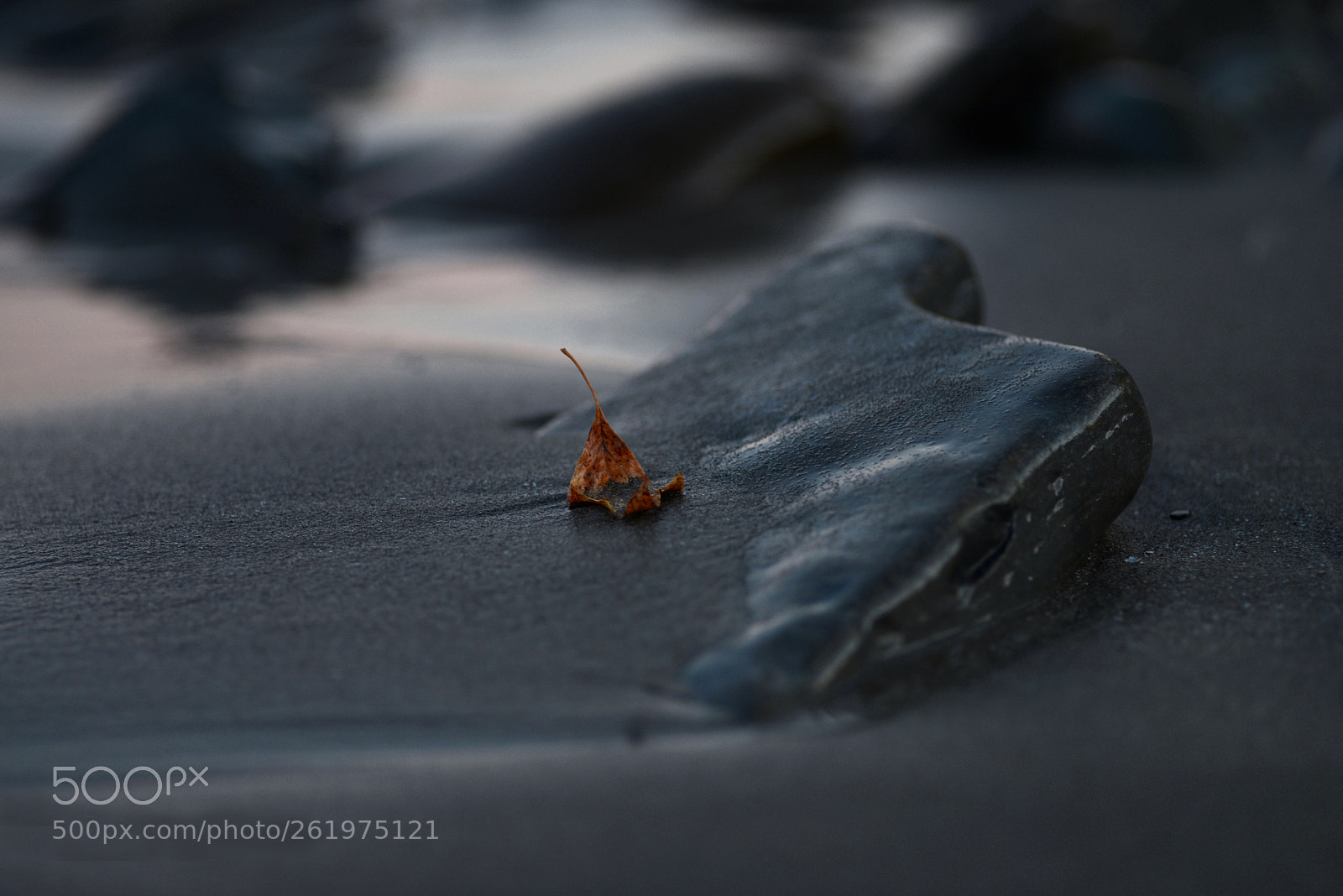 Nikon D600 sample photo. Shore line moments photography