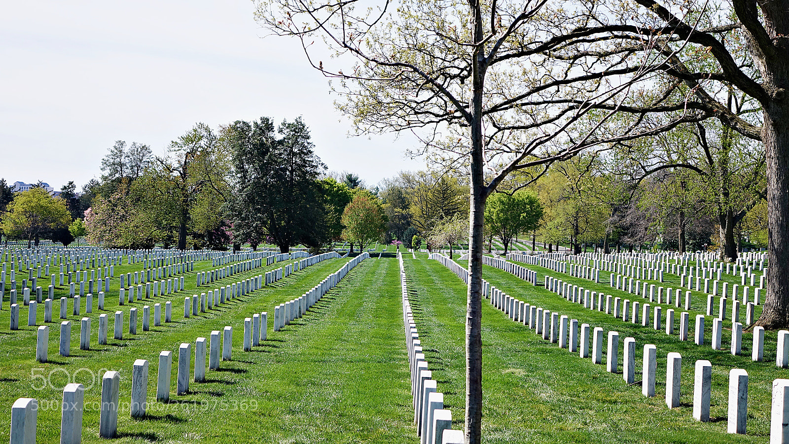 Sony Cyber-shot DSC-RX10 II sample photo. Endless graves photography