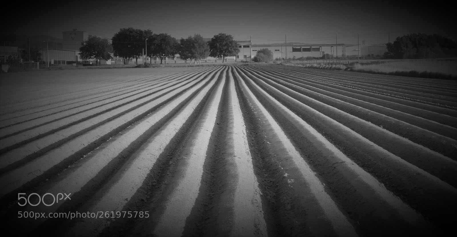 Nikon D3100 sample photo. Regos en blanco e photography