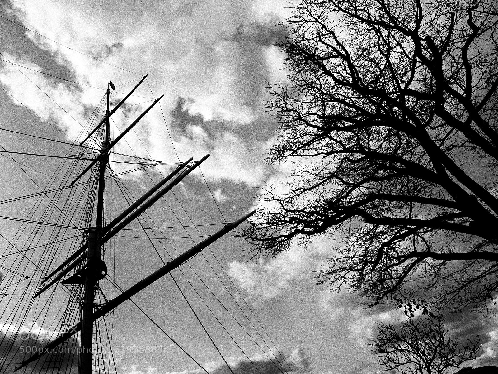 Nikon D700 sample photo. Ship and tree photography