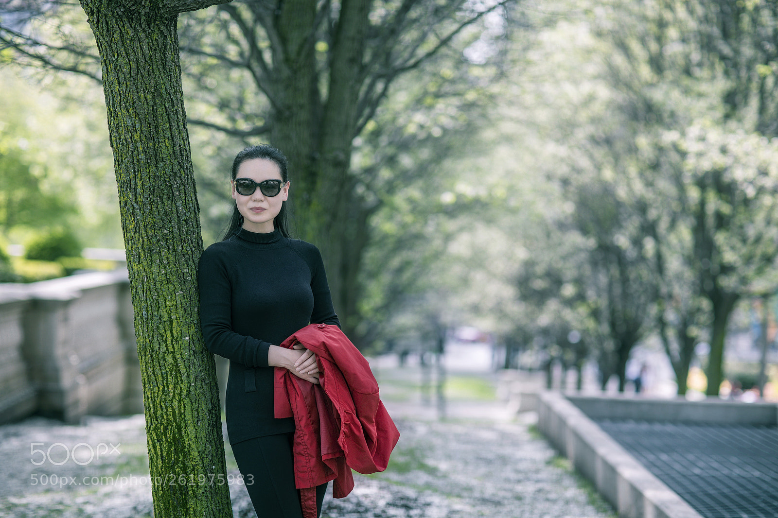 Canon EOS 5D Mark IV sample photo. Chicago留影 photography