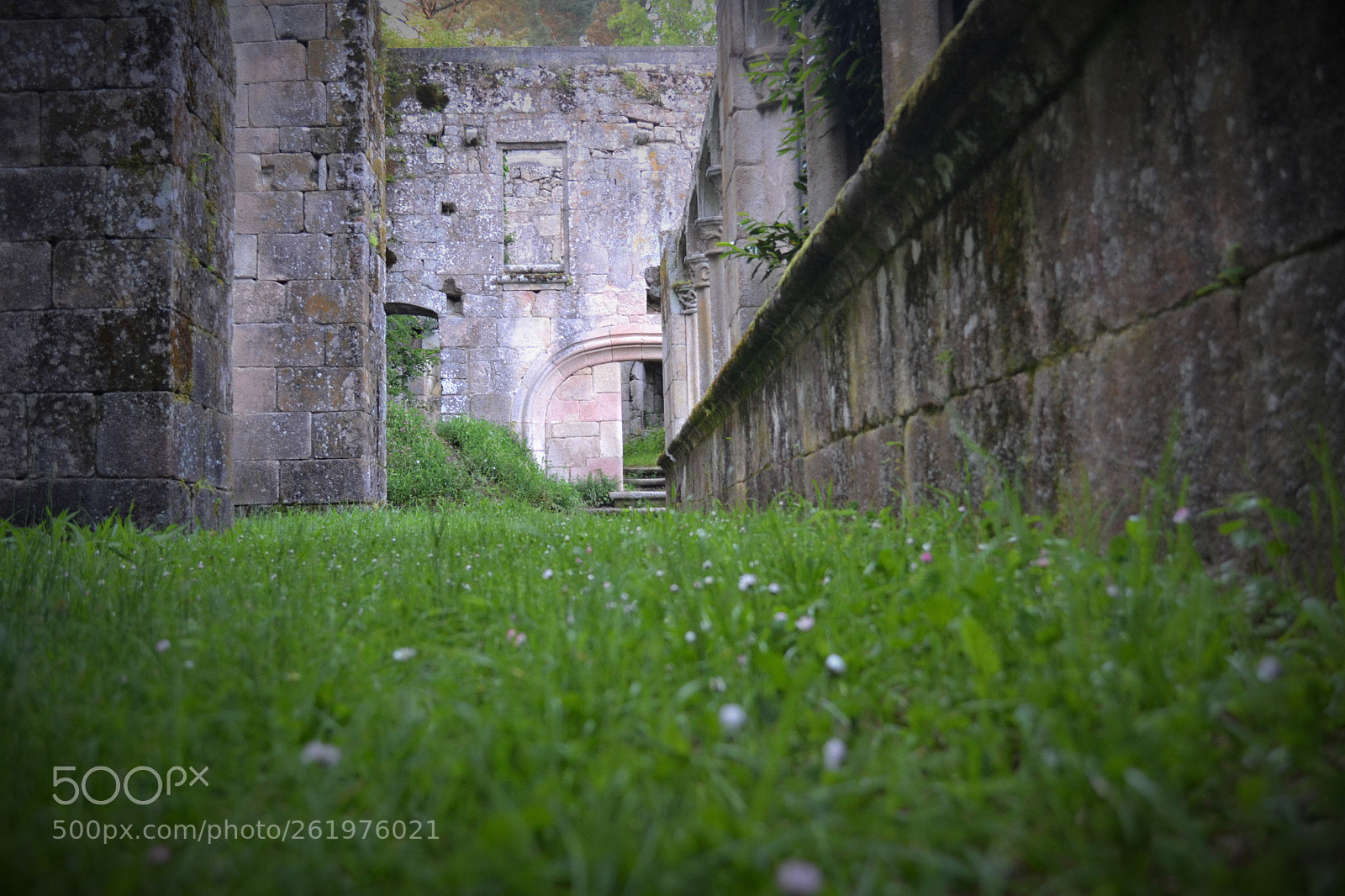 Nikon D3100 sample photo. Corredor en ruinas photography