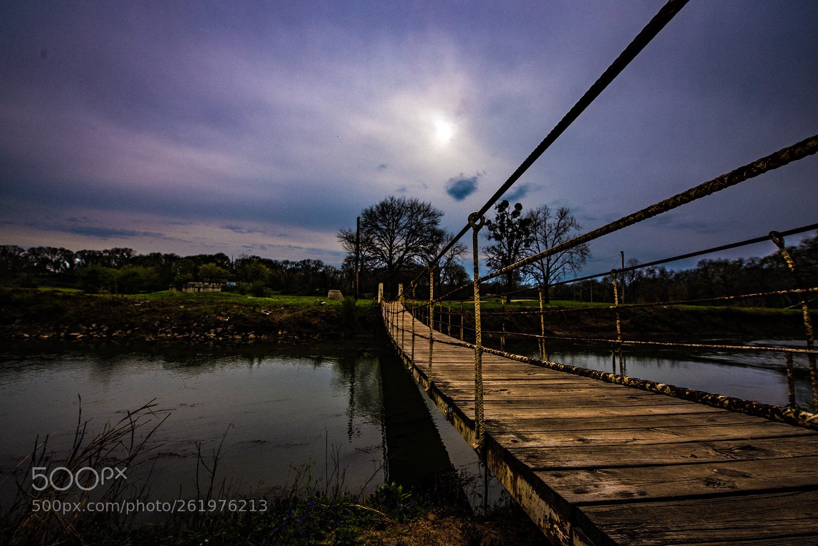 Nikon D750 sample photo. Walk on photography