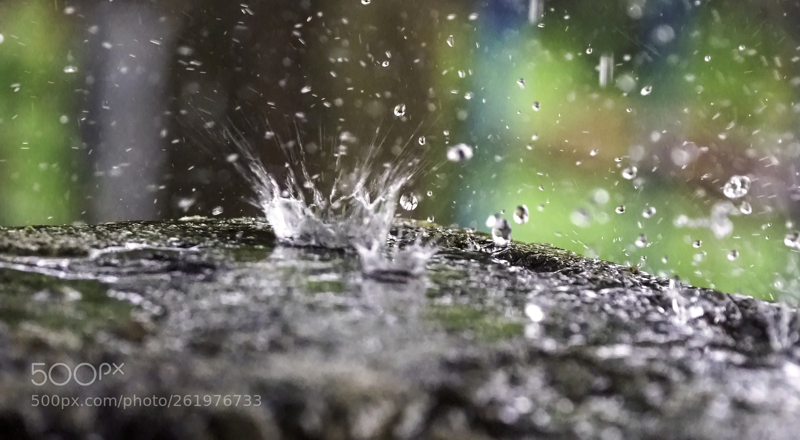 Olympus OM-D E-M1 Mark II sample photo. Rain drops keep falling photography