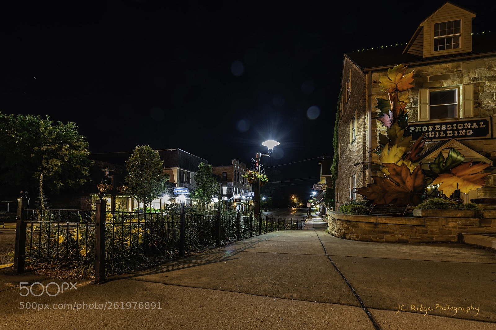 Nikon D810 sample photo. Nashville charm photography