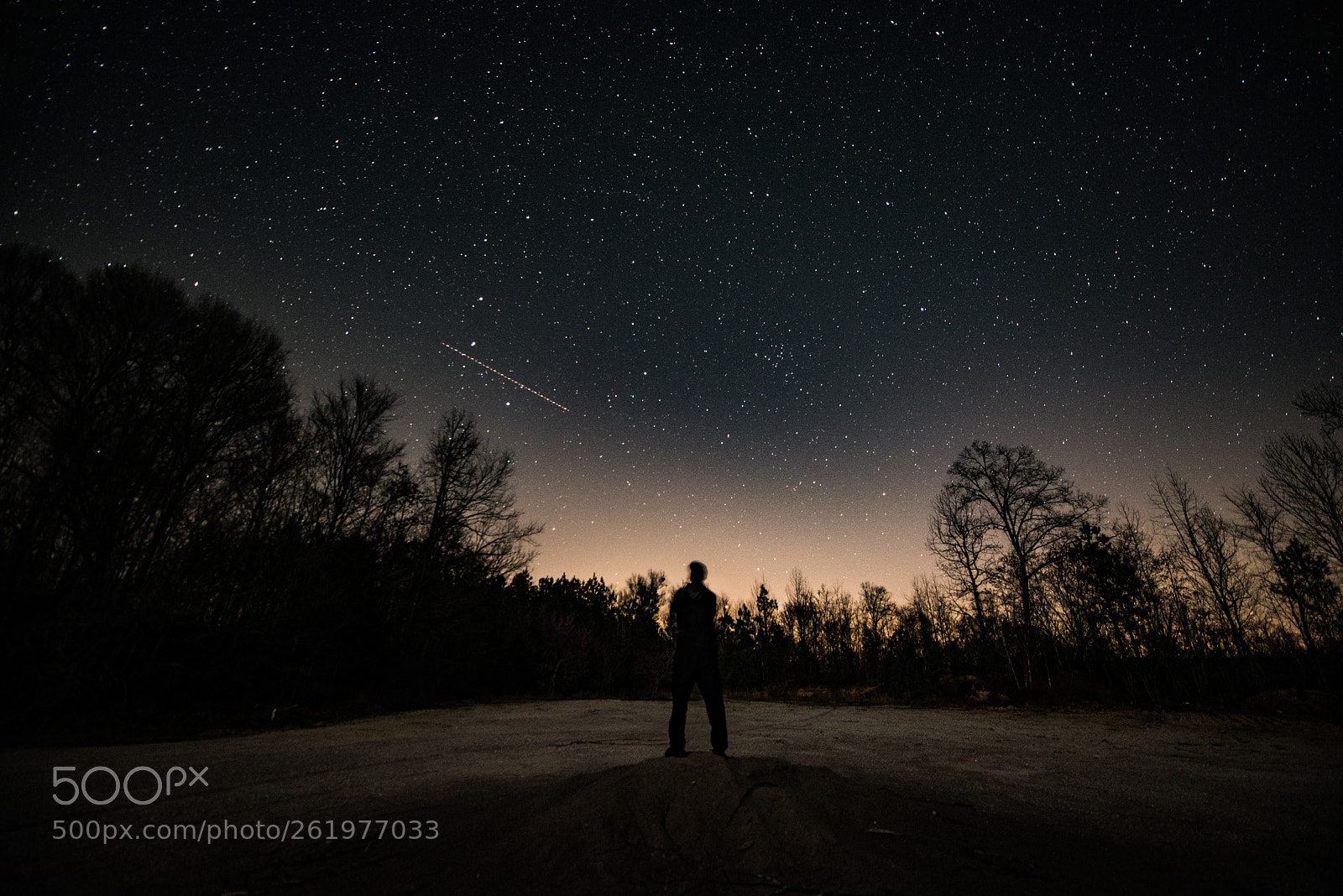 Nikon D750 sample photo. Night sky silhouette photography