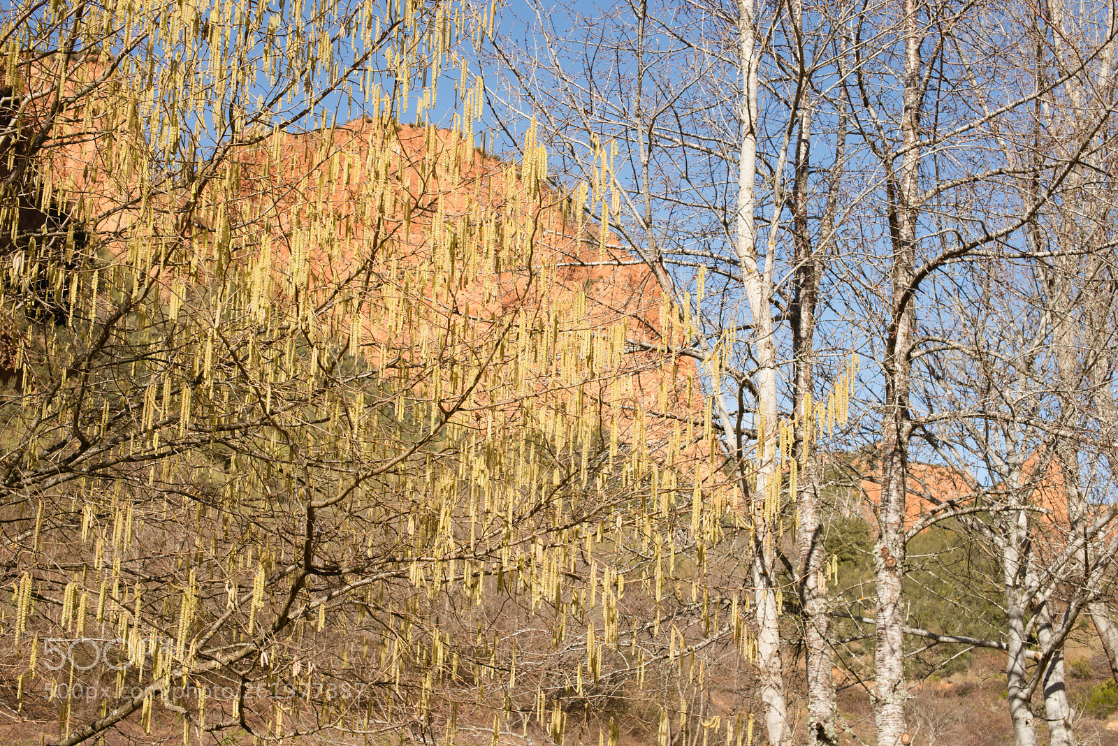 Nikon D600 sample photo. Untitled het c-c project photography
