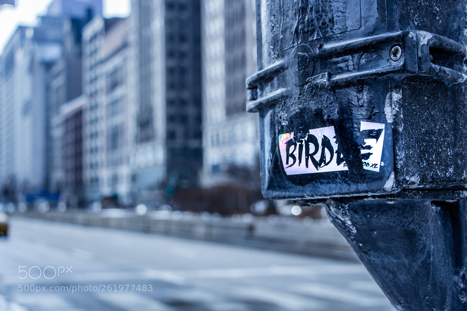 Canon EOS 650D (EOS Rebel T4i / EOS Kiss X6i) sample photo. Birde e chicago photography